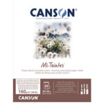 Canson papier beaux - arts mi - teintes, en bloc, 320 x 410 mm
