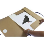 Carton � dessin kraft, 500 x 700 mm, avec ruban