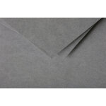 Clairefontaine etui de 25 feuilles 210g pollen 21x29, 7cm. coloris gris acier
