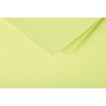 Clairefontaine paquet de 20 enveloppes 120g pollen 11, 4x16, 2cm (c6). coloris vert bourgeon