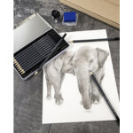Crayon de couleur artist color, �tui de 12