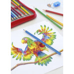 Crayons de couleur triangulaires, �tui de 12