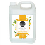 Cr�me lavante 3 en 1 boldair 5 l