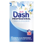 Dash 2 en 1 professionnelle lessive en poudre pour le linge - fleurs de lotus et lys - bidon de 120 doses ...