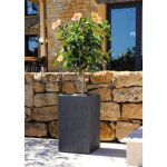 Eda bac à plantes basalt up, colonne, (h)495 mm, anthracite Eda bac à plantes basalt up, colonne, (h)495 mm, anthracite