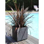 Eda bac  plantes basalt up double paroi, 395 mm, anthracite