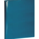 Exacompta agenda semainier de bureau sad 29 vrone - 21 x 29, 7 cm - bleu canard - septembre 2025  dcembre ...