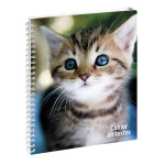 Exacompta cahier de textes animaux chat yeux bleus 17 x 22 cm - visuels assortis