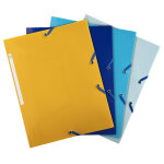 Exacompta chemise beeblue à 3 rabats et à élastiques a4 250 feuilles en polypro - assortis Exacompta chemise beeblue à 3 rabats et à élastiques a4 250 feuilles en polypro - assortis