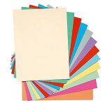 Exacompta chemises - dossiers toucher peau d'ne - carte forte 160g 24 x 32 cm - coloris assortis - lot ...