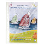 Exacompta etui carton de 100 pochettes perfor�es ouverture haut et c�t� - polypropyl�ne lisse 6 / 100e ...