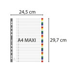 Exacompta intercalaires imprim�s num�riques pp couleurs 12 / 100e - 31 positions - a4 + - assorties vives ...