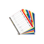 Exacompta intercalaires mensuels maxi a4 + en polypropyl�ne, 12 divisions - assortis