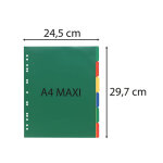 Exacompta intercalaires polypropyl�ne souple 6 positions - a4 maxi - couleurs assorties