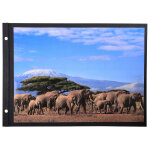 Exacompta recharge 10 feuillets en carte noire rigide pour album photos  vis - 30 , 7x21, 6 cm - noir ...
