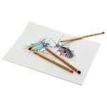 Crayons de couleur pitt pastell, �tui de 12 en