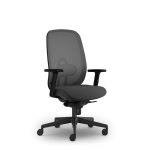 Fauteuil ergonomique cyprien - avec accoudoirs - noir