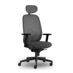 Fauteuil ergonomique cyprien avec accoudoirs et t�ti�re - noir