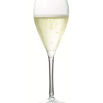 Flte  champagne rutilisable en plastique 17 cl - lot de 12