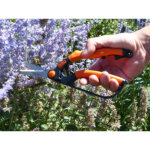 Garten primus cisaille à buis, petit, longueur : 260 mm Garten primus cisaille à buis, petit, longueur : 260 mm