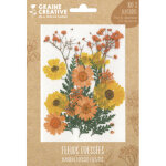Graine creative sachet de 18 fleurs séchées prairie jaune pour la création de bougies, objets en bois. ... Graine creative sachet de 18 fleurs séchées prairie jaune pour la création de bougies, objets en bois. ...
