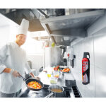 Iwh reinold max spray extincteur 'stop fire', 3 x 750 ml