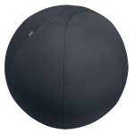 Leitz ballon d'assise antibascule cosy - xl - anthracite
