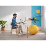 Leitz coussin d'assise ergonomique ergo cosy - gris