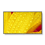 Nec multisync me501, �cran plat de signalisation num�rique, 127 cm (50'), va, 3840 x 2160 pixels, 18 ...