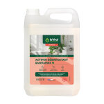 Nettoyant d�sinfectant sanitaires pae le vrai actipur 5 l