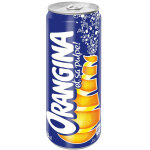 Orangina boisson gazeuse  l'orange - bote 33 cl (lot de 24)