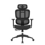Oraxeat fauteuil ergonomique ernest avec accoudoirs 3d et appui - t�te r�glable - assise et dossier en ...