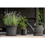 Orthex arrosoir splash, 10, 0 litres, noir