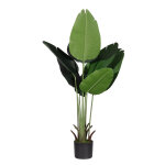 Paperflow plante artificielle verte - bananier en pot pour d�coration int�rieur - hauteur 115 cm - feuillage ...
