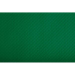 Pronappe barquette de 500 sets de table papier tiss lack, unis - format 30x40 cm - vert sapin