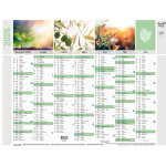 Quo vadis calendrier mural annuel equology - 27 x 21 cm - 2026