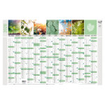 Quo vadis calendrier mural annuel equology - 65 x 43 cm - 2026