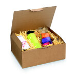 Raja bo�te d'exp�dition brune en carton simple cannelure - l. 25 x l. 20 x h. 10 cm - lot de 50