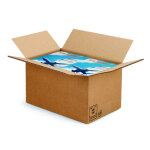 Raja caisse amricaine carton double cannelure - l. 30 x l. 20 x h. 17 cm - kraft brun - lot de 15