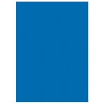 Mondoffice chemises dossiers 220g - 24 x 32 cm - bleu turquoise vif - lot de 100 Mondoffice chemises dossiers 220g - 24 x 32 cm - bleu turquoise vif - lot de 100