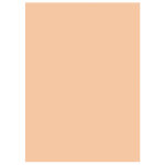Mondoffice sous - chemises 60g recycles - 22 x 31 cm - pastel bulle - lot de 250