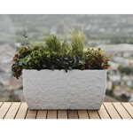 Tera bac  plantes 'petram 80', slade stone