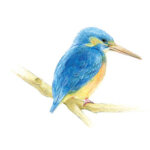 Crayons de couleur 'irojiten' - seascape, set de 30