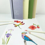 Tombow crayons de couleur irojiten 'volume 7', set de 10