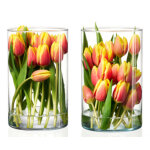 Vase amalia, transparent