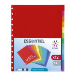 Viquel intercalaires g�ode 12 divisions a4 maxi en polypro - coloris assortis