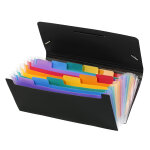 Viquel trieur chque rainbow class en polypropylne - 12 compartiments extensibles - multicolores