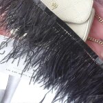 1 mètre de plumes dâ¿autruche trim 10 - 15cm plumes selvedge ruban pour bricolage robe de mariée noir ... 1 mètre de plumes dâ¿autruche trim 10 - 15cm plumes selvedge ruban pour bricolage robe de mariée noir ...