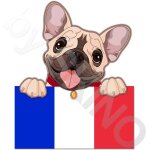 1 x pvc autocollant stickers voiture auto moto tuning chien bouledogue franais drapeau national france ...