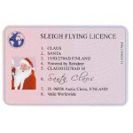 10 cartes en plastique de licence de faux de le vol du pre nol et traineau de nol (1)